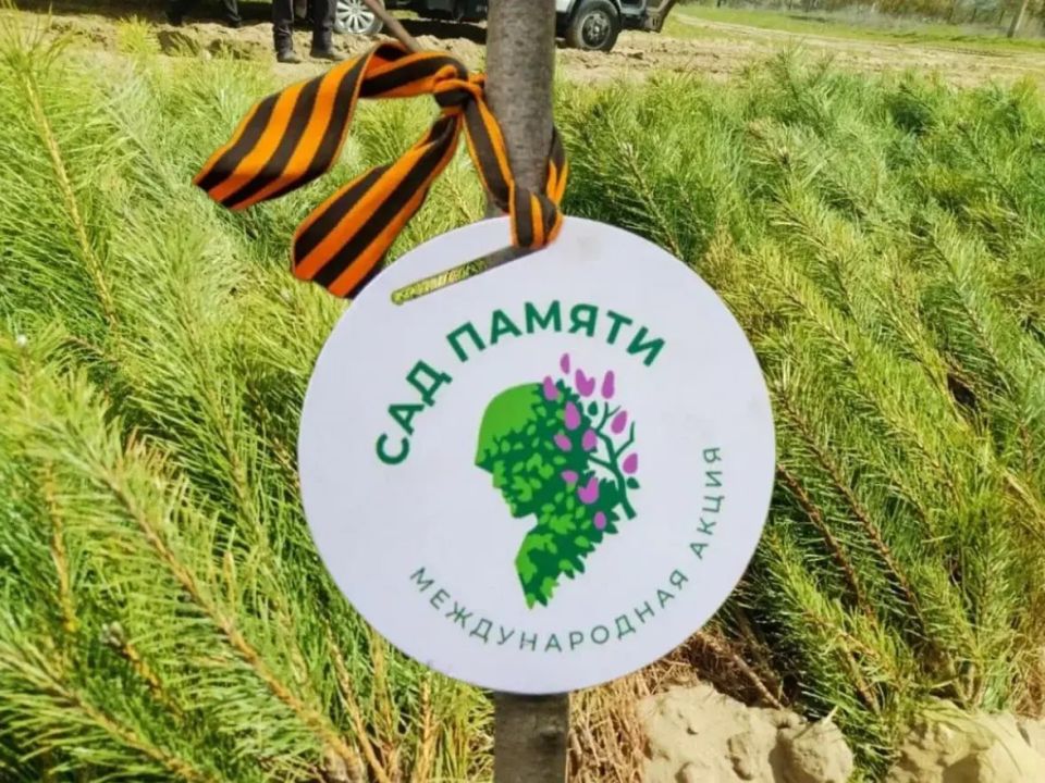 В селе Широкое Скадовского округа прошла международная акция «Сад памяти» В селе Широкое Скадовского округа прошла международная акция «Сад памяти»