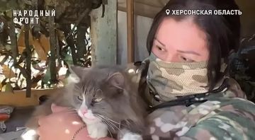 �������� ��������� �������