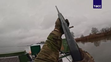 ����� ����������� ����� "�����" ������� ����� 10 ���� ����������