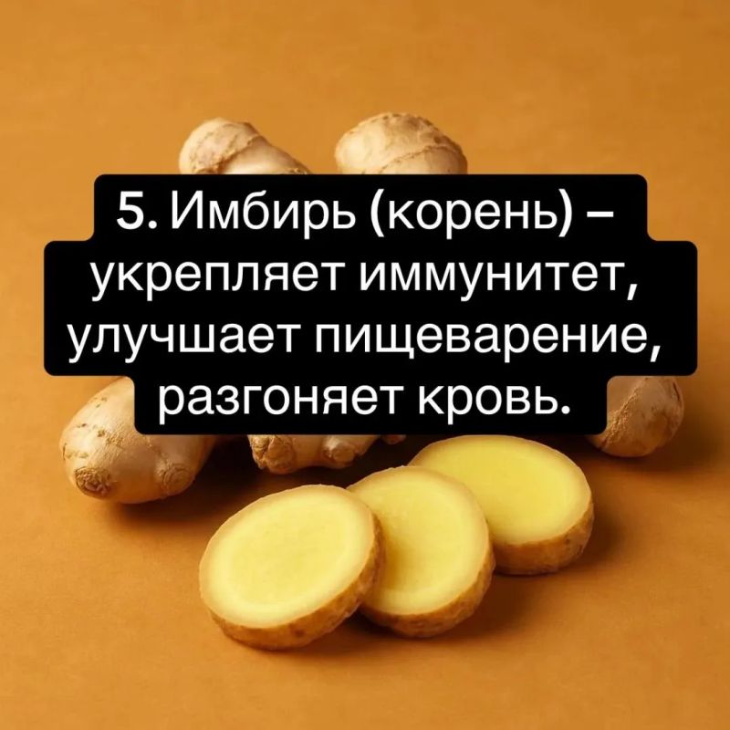 10 трав для здоровья: иммунитет, энергия и спокойствие 10 трав для здоровья: иммунитет, энергия и спокойствие
