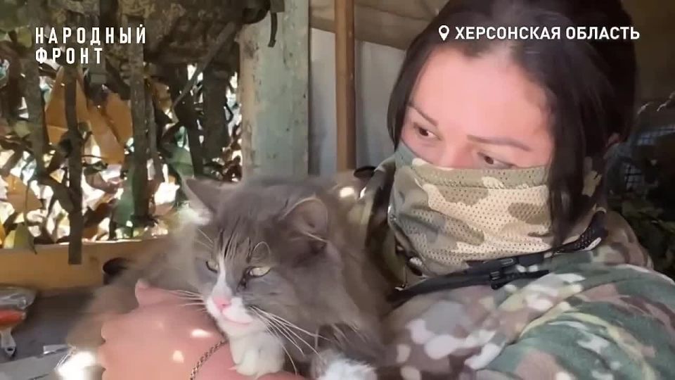 ��� ������� � �������� ��������� �� ���������� �����������