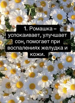 10 ���� ��� ��������: ���������, ������� � �����������