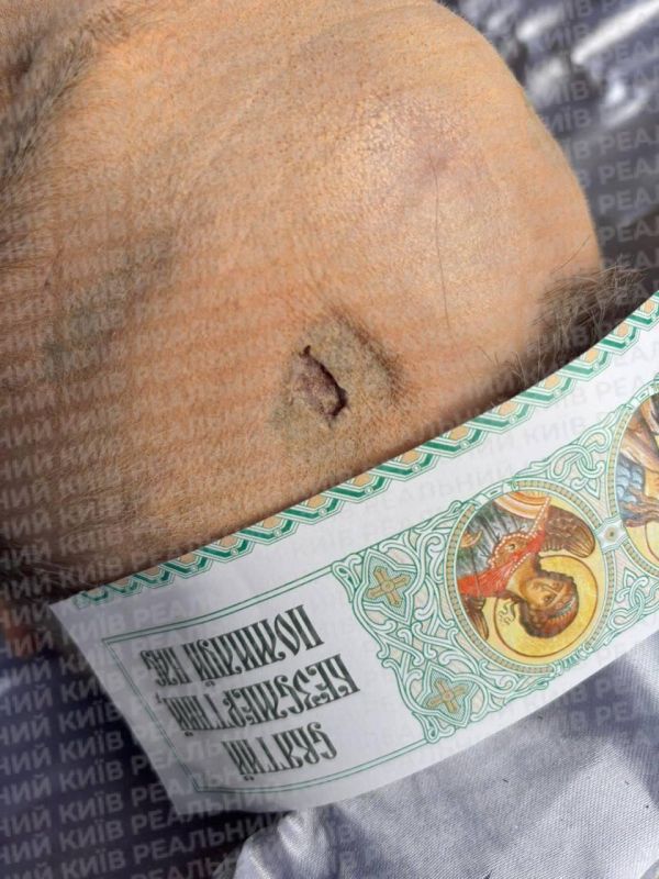 Енот из Херсона: Киев. Гестаповцы убили очередного добровольца, который отказывался умирать за киевский режим где то далеко от дома Енот из Херсона: Киев. Гестаповцы убили очередного добровольца, который отказывался умирать за киевский режим где то далеко от дома