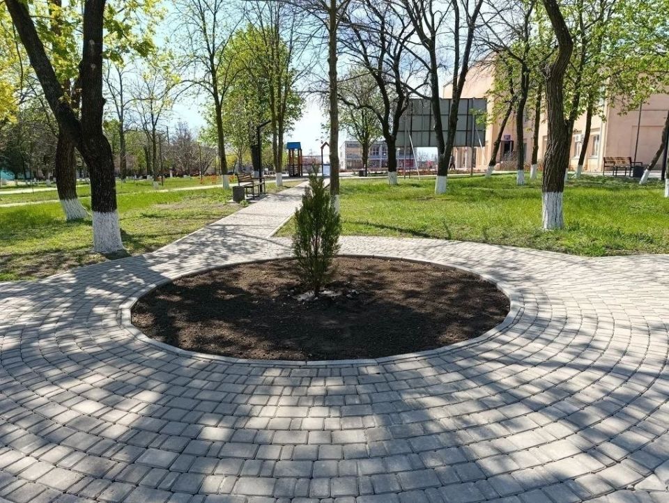 В Нижнесерогозском округе высадили 700 деревьев в рамках акции «Сад памяти» В Нижнесерогозском округе высадили 700 деревьев в рамках акции «Сад памяти»
