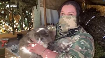 ������� � ������ � ������ ����������� �������: ��� ��� ������� ���� ���������� �������� ���������