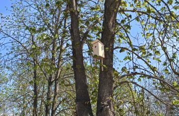 � ����������� ����� �������� ������ ����� �� ��������� ������������