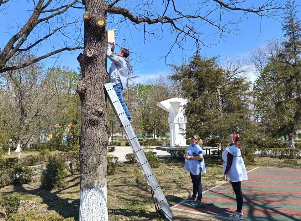 В Центральном парке Чаплинки прошла акция по установке скворечников В Центральном парке Чаплинки прошла акция по установке скворечников