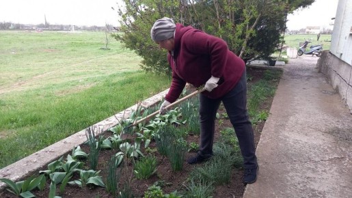 �������� ��������� ������� ������������ ���� ����������