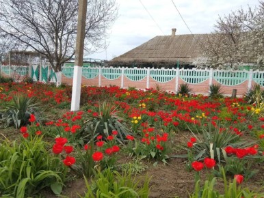 ������ ��� ������, ����� ������������ ������� ���� ���������, ��� ����� �������