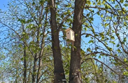 � ������ ������ ���� ����, ������� ����� �� ��������� � �����, �� ������ ������������ �����