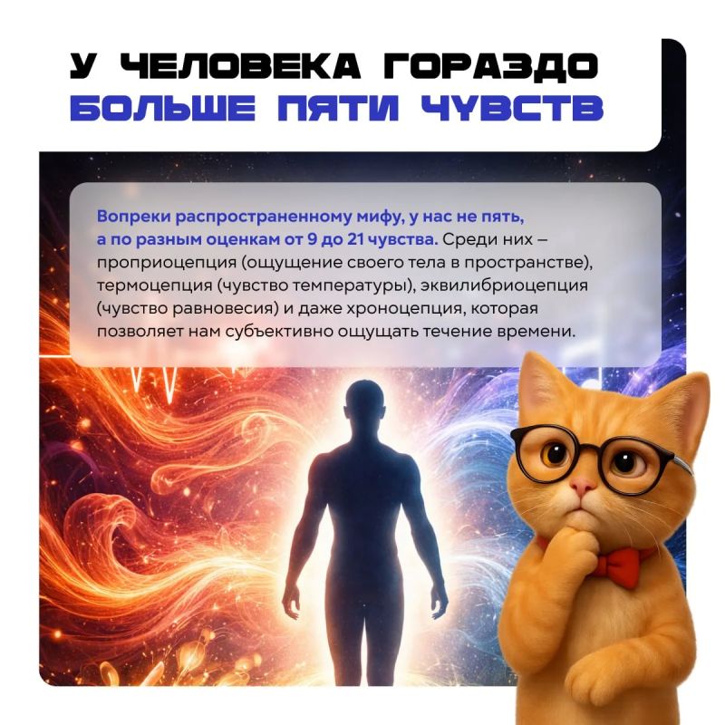 Хотите блеснуть эрудицией в компании? Хотите блеснуть эрудицией в компании?