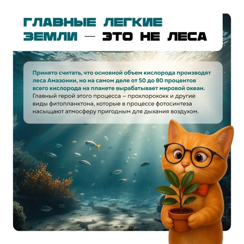 Хотите блеснуть эрудицией в компании? Хотите блеснуть эрудицией в компании?