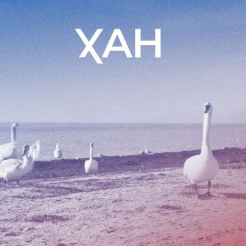 �� ����������� ������ �� �������������� ������ �����, �� ����� ������ �������� �� ���������� � ��������� ������� � ��� ���, ��� ����������� ������� ���������� ������� ������� ������ ����