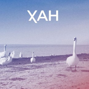 �� ����������� ������ �� �������������� ������ �����, �� ����� ������ �������� �� ���������� � ��������� ������� � ��� ���, ��� ����������� ������� ���������� ������� ������� ������ ����