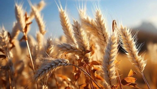 � ��������� ������ ��������� ������������ �� �������� ��������� ���������, ��������� �������� ������