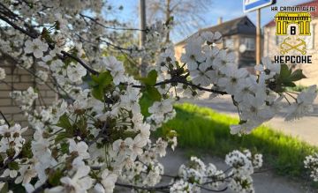 ����� ���� � �������� ������ �� ������������ � �������