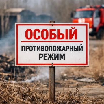 ������ ��������������� ����� � ���������� �������: ���� ���������������� � ���������������