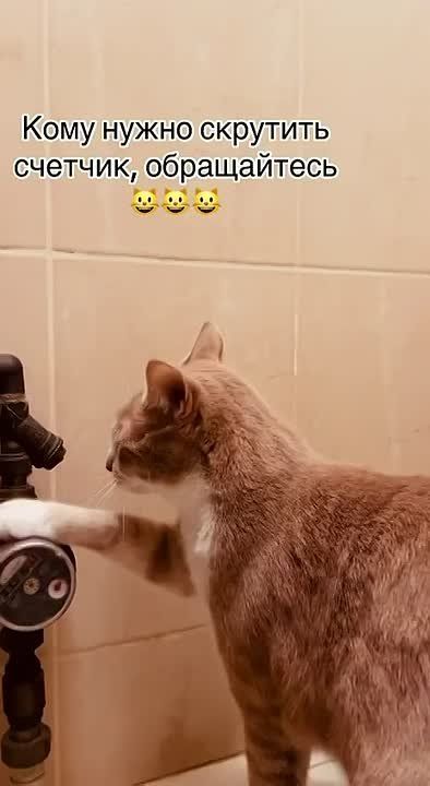 ����� ����� - ��������� 80-�� ������