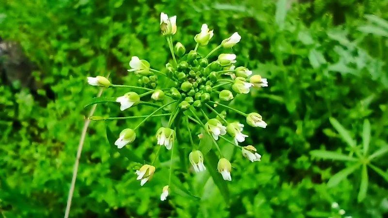 Время, когда природа особенно щедра на краски и настроение Время, когда природа особенно щедра на краски и настроение