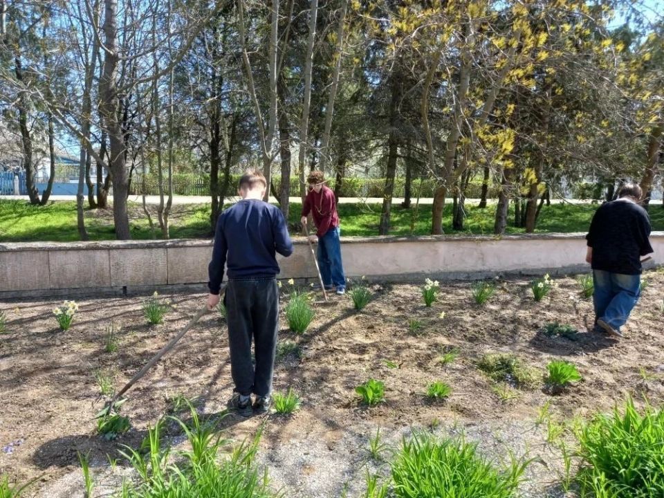 Общими силами: в Павловском территориальном отделе прошли масштабные субботники Общими силами: в Павловском территориальном отделе прошли масштабные субботники