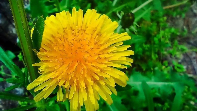 Время, когда природа особенно щедра на краски и настроение Время, когда природа особенно щедра на краски и настроение