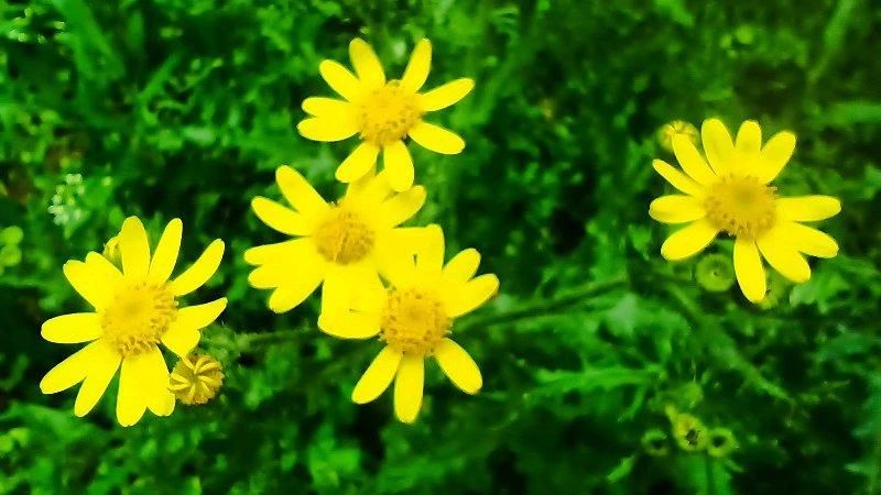 Время, когда природа особенно щедра на краски и настроение Время, когда природа особенно щедра на краски и настроение