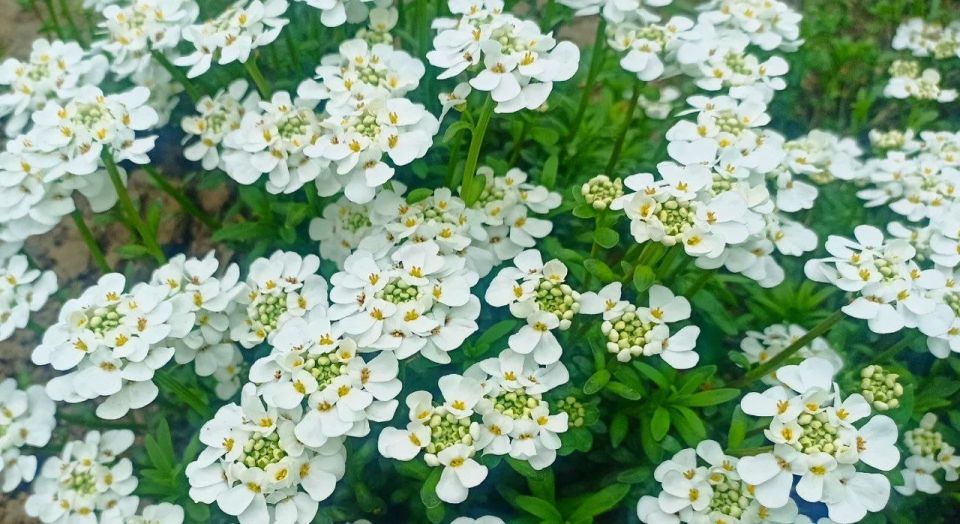Время, когда природа особенно щедра на краски и настроение Время, когда природа особенно щедра на краски и настроение
