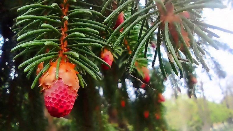 Время, когда природа особенно щедра на краски и настроение Время, когда природа особенно щедра на краски и настроение