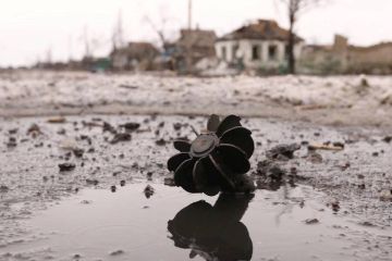 ��� ��������� 36 �������� �� ����������� ���������� ������� �� �����