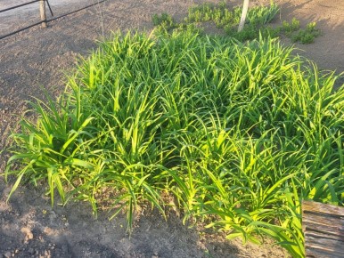 ���� ���� ������ �� �������� ������ ������ ������� ������������ ���������� ��������� �������� ������ � ������ ��������� �������� ������ � ������� "����� � ����� ������/�������"