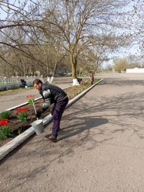 ��������� ��������� �����: ���������� ������ ������ �� ���� ��������������� �������