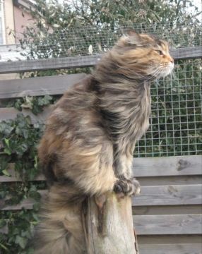 ����� ����������� �� ���������� �������: ����� ��������� ������� �����, � ���� ������ ����� �� 20 �/�