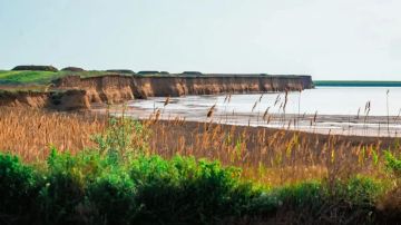 ��������������������� ������� �� 17�25 ������ 2026 ����