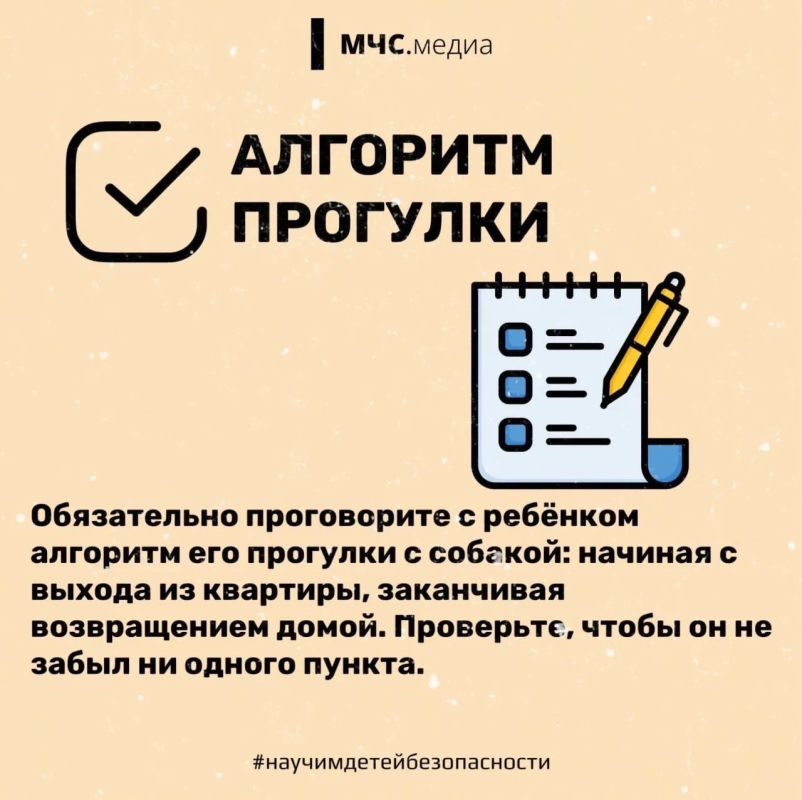 Прогулки обязаны быть безопасными! Прогулки обязаны быть безопасными!