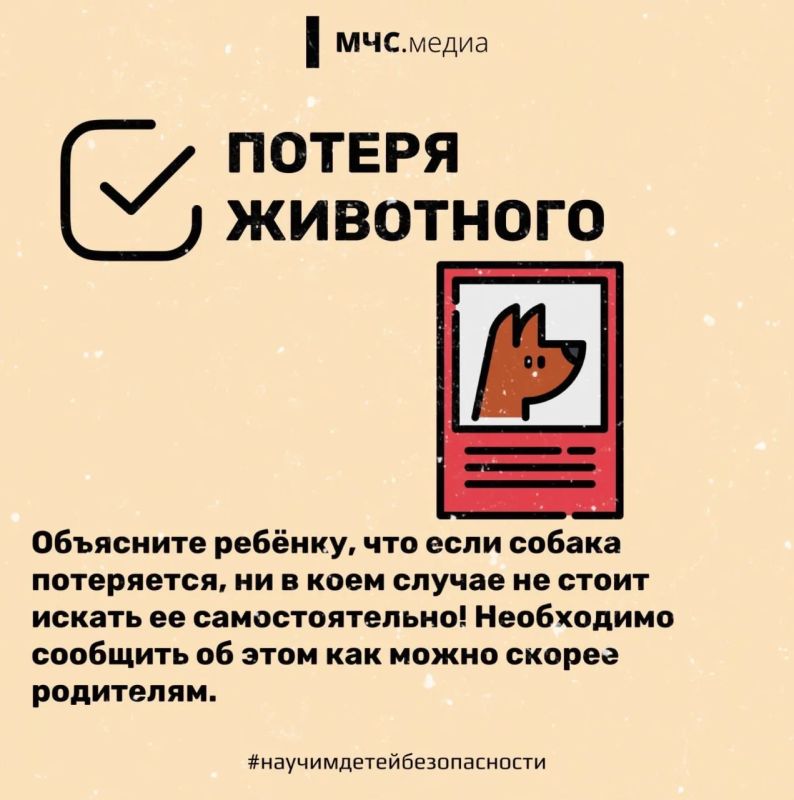 Прогулки обязаны быть безопасными! Прогулки обязаны быть безопасными!