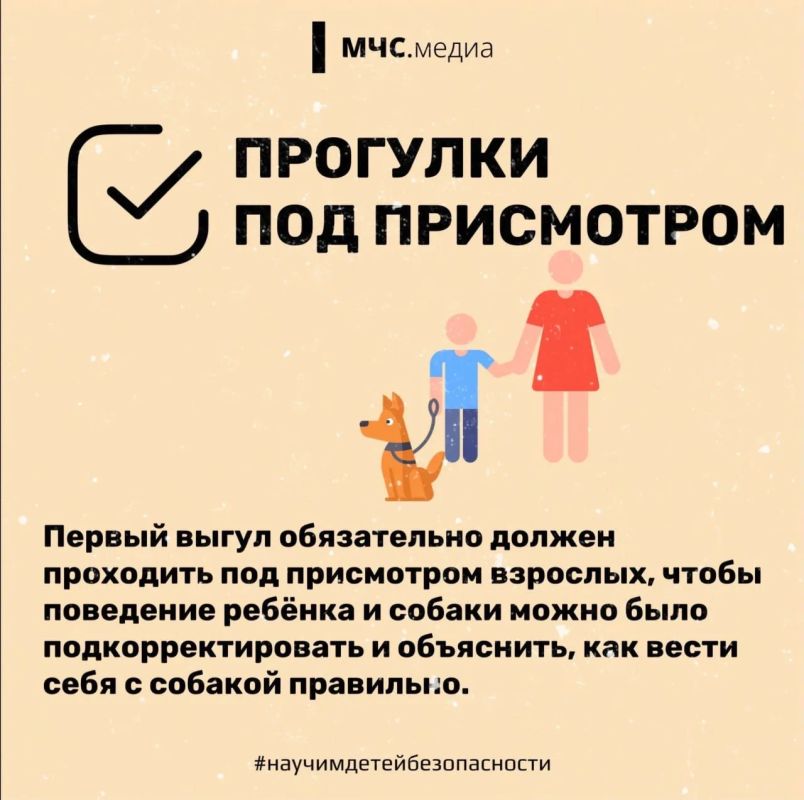 Прогулки обязаны быть безопасными! Прогулки обязаны быть безопасными!