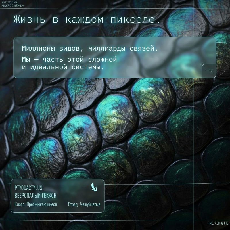Планета — это не просто место на карте, это живой организм, частью которого являемся мы сами Планета — это не просто место на карте, это живой организм, частью которого являемся мы сами