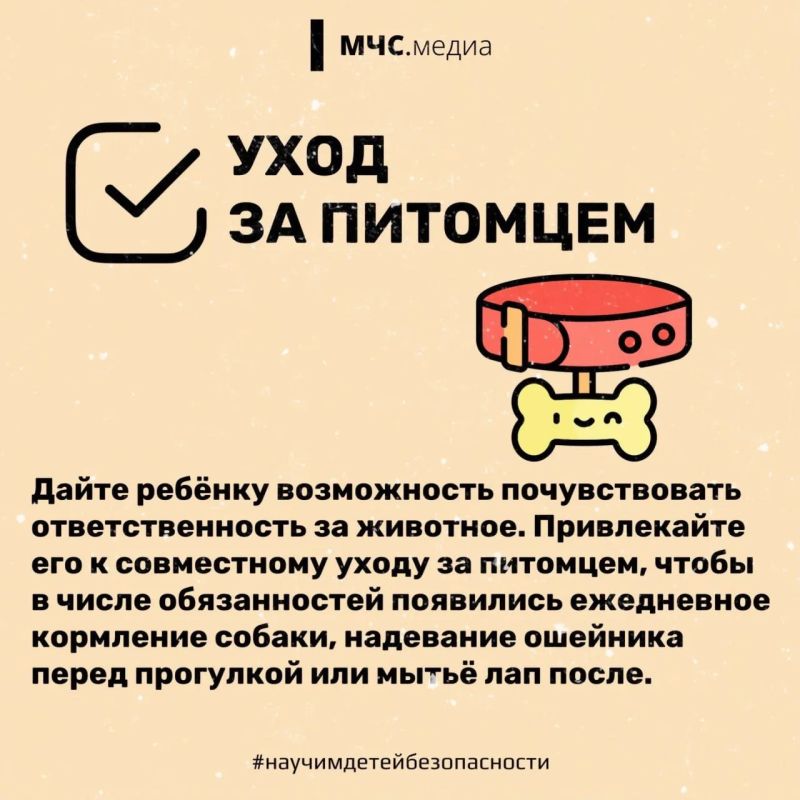 Прогулки обязаны быть безопасными! Прогулки обязаны быть безопасными!