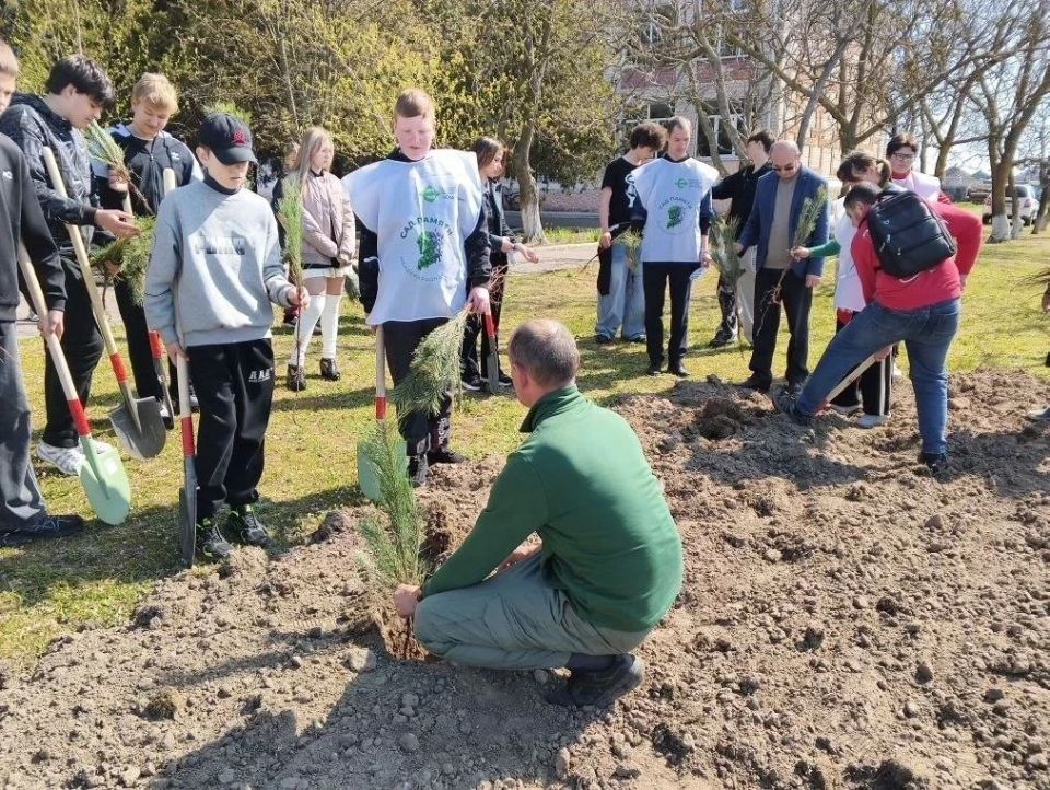В Лазурненской школе высадили «Сад памяти» В Лазурненской школе высадили «Сад памяти»