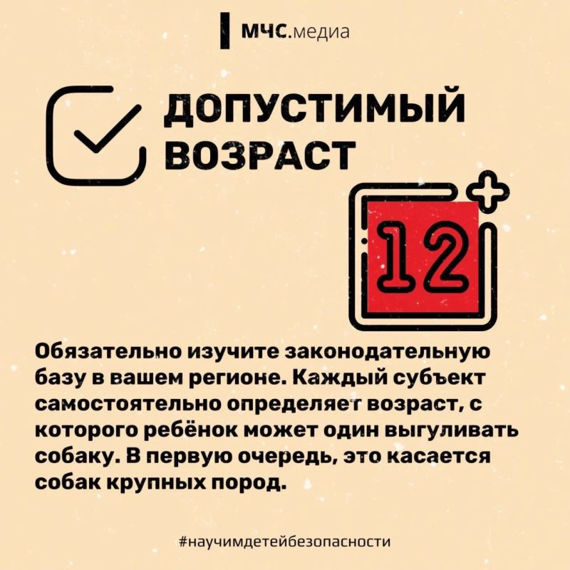 Прогулки обязаны быть безопасными! Прогулки обязаны быть безопасными!