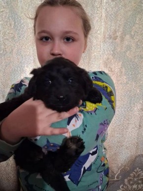 ������ � �� �������. ���������� ���� ������ ������� � ���������� ��� ������������� � ��������� ���������� �������� ������, ������� ������������� ����� ������ ���������