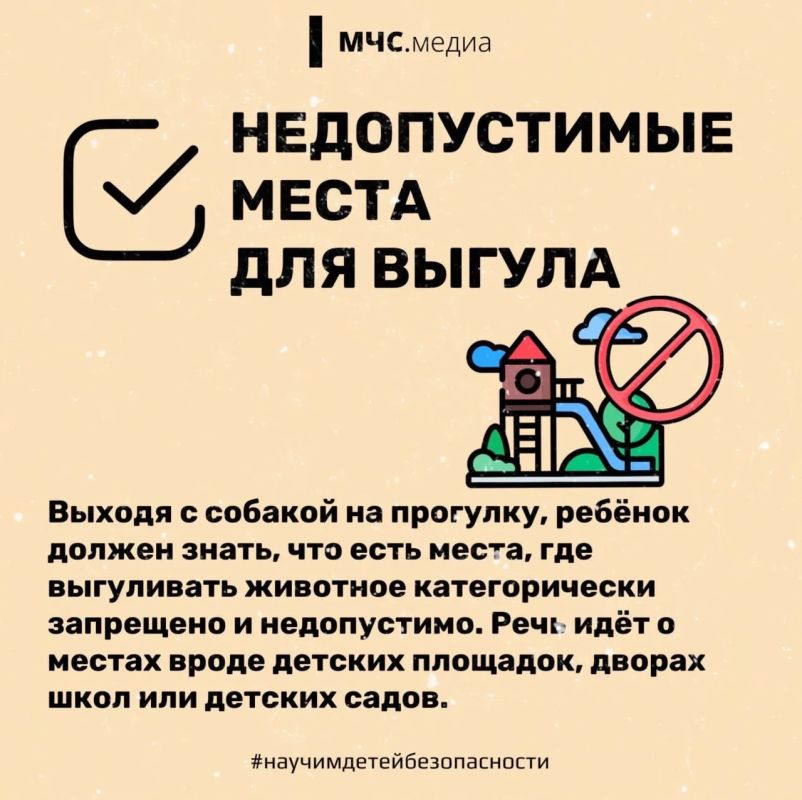 Прогулки обязаны быть безопасными! Прогулки обязаны быть безопасными!