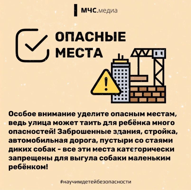 Прогулки обязаны быть безопасными! Прогулки обязаны быть безопасными!