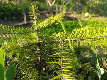 ������ ����, ������ � ����� ����������� ������!