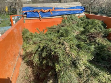 ���������� ������� �������� 60 000 �������� ����� ��� �������������� ������ ��� ����������� �������