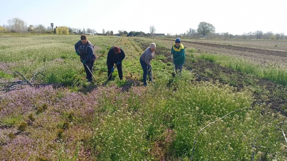 В Скадовском лесхозе продолжают заботиться о здоровье культурных растений В Скадовском лесхозе продолжают заботиться о здоровье культурных растений