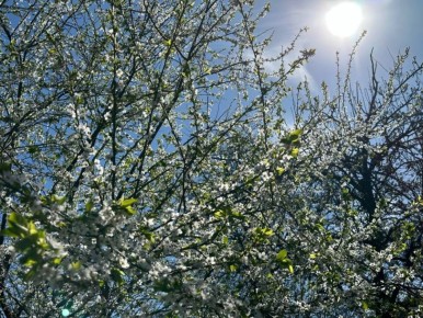 ������ ����, ����������!. ������ ���� � ����� �����