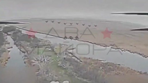 ��� ������: ���������� �����������. ������ ���������� ����� �������� ��� ����� 80-� ����������� �������