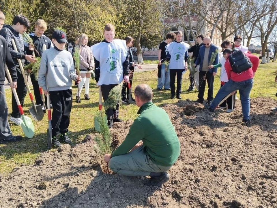 В Лазурненской школе высадили «Сад памяти» В Лазурненской школе высадили «Сад памяти»