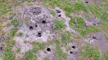 � ��������-���� ���������� � �������� ������� ��� ����� �������